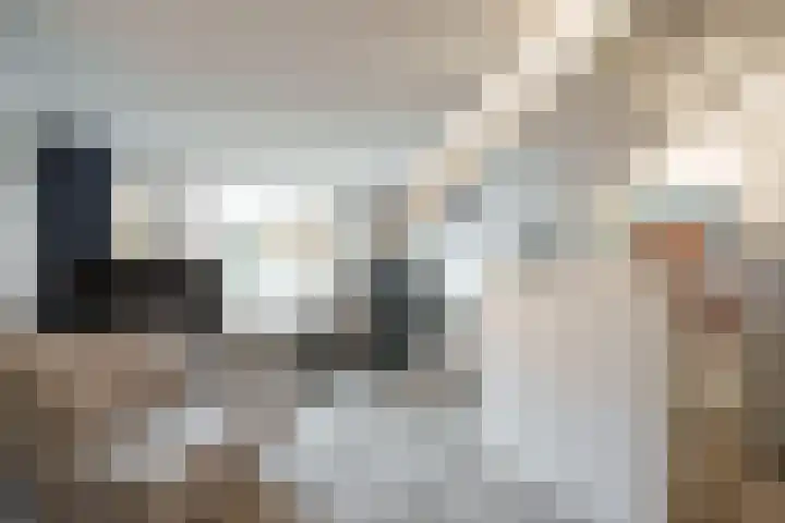 Tulpstraat 1 Zeist thumbnail 20
