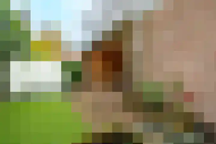 Tulpstraat 1 Zeist thumbnail 22