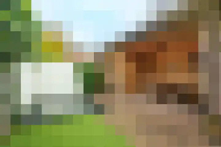 Tulpstraat 1 Zeist thumbnail 23