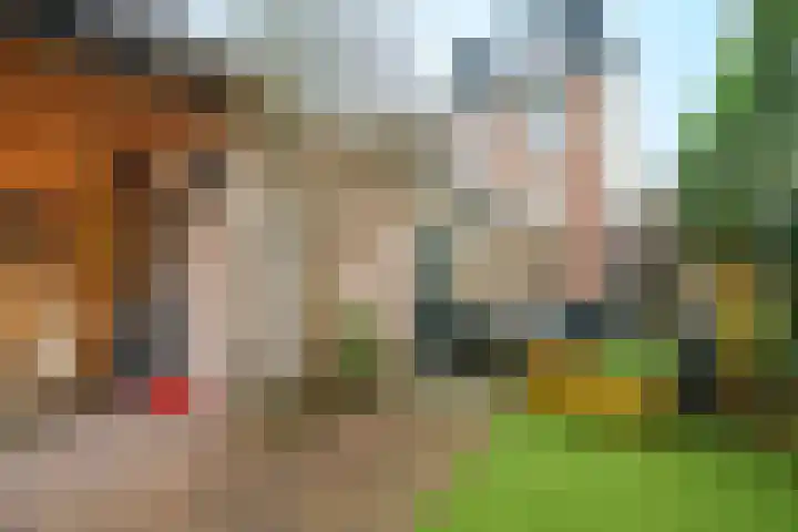 Tulpstraat 1 Zeist thumbnail 24