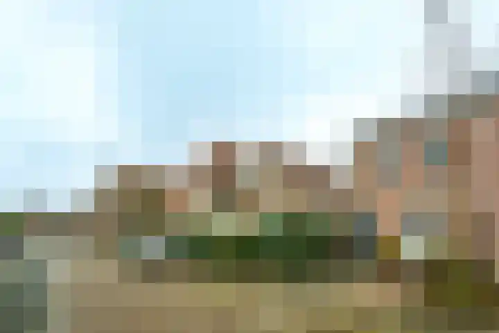 Tulpstraat 1 Zeist thumbnail 26