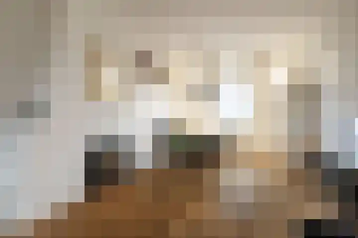Tulpstraat 1 Zeist thumbnail 6