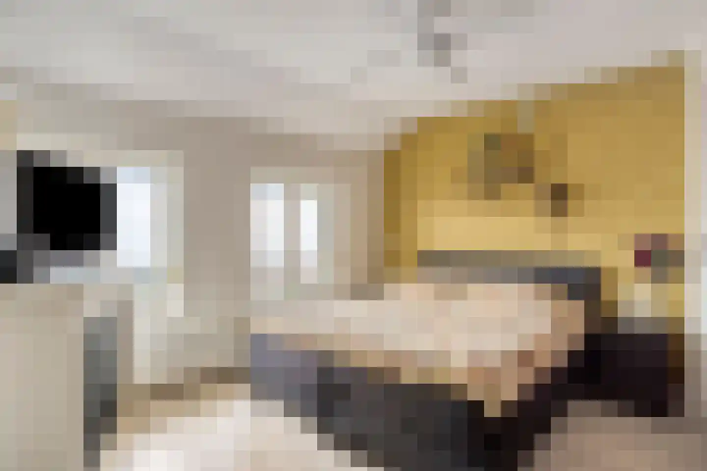 Tulpstraat 10 Uden thumbnail 22