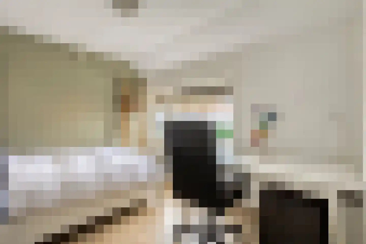 Tulpstraat 10 Uden thumbnail 25