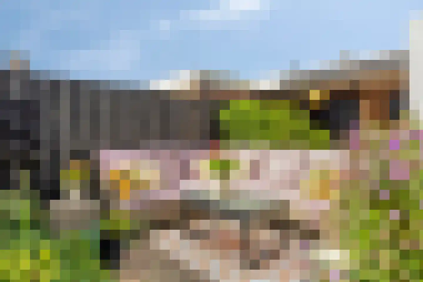 Tulpstraat 10 Uden thumbnail 31