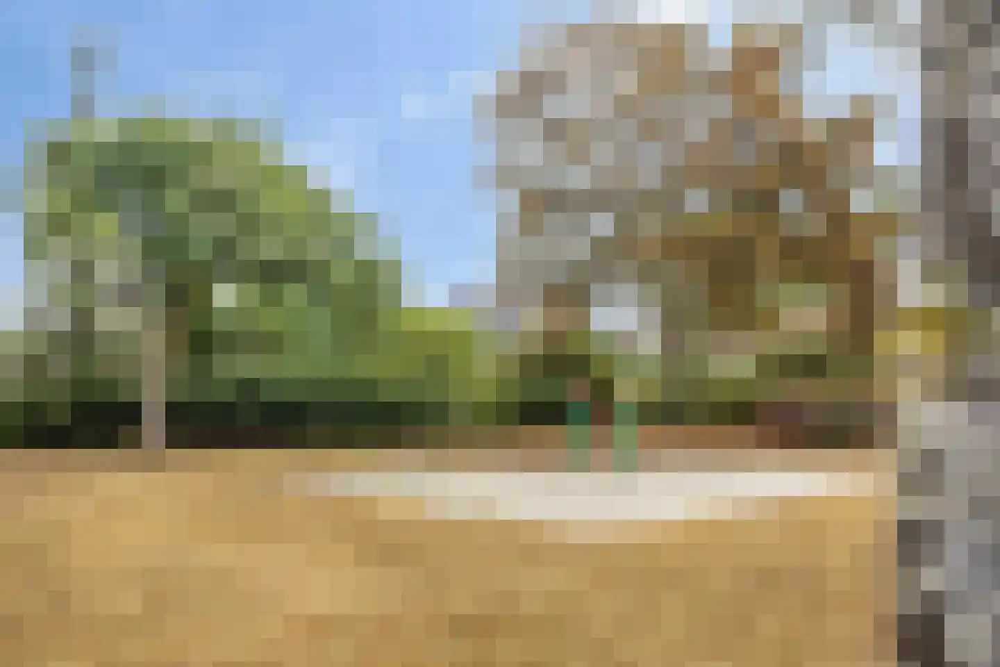 Tulpstraat 10 Uden thumbnail 33