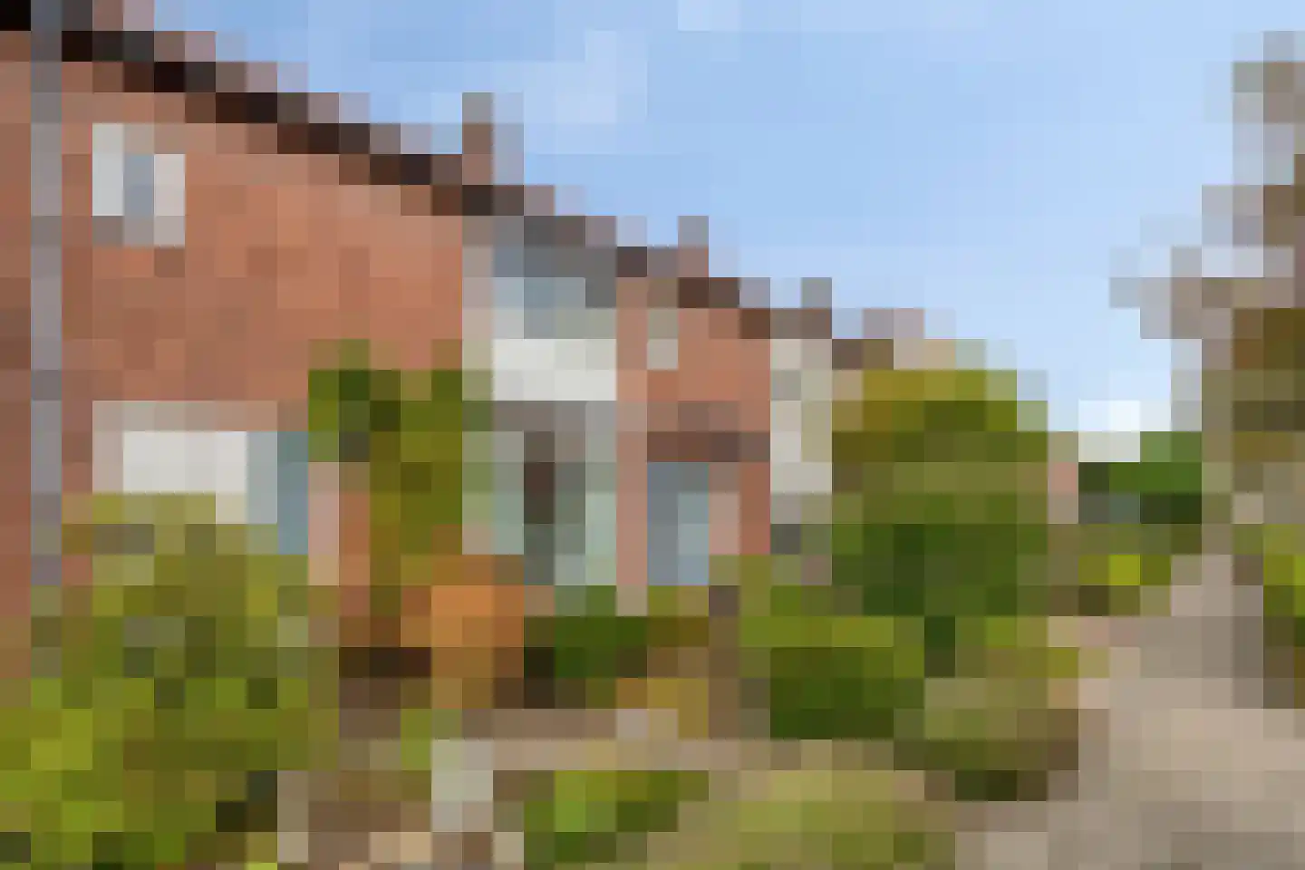 Tulpstraat 10 Uden thumbnail 38