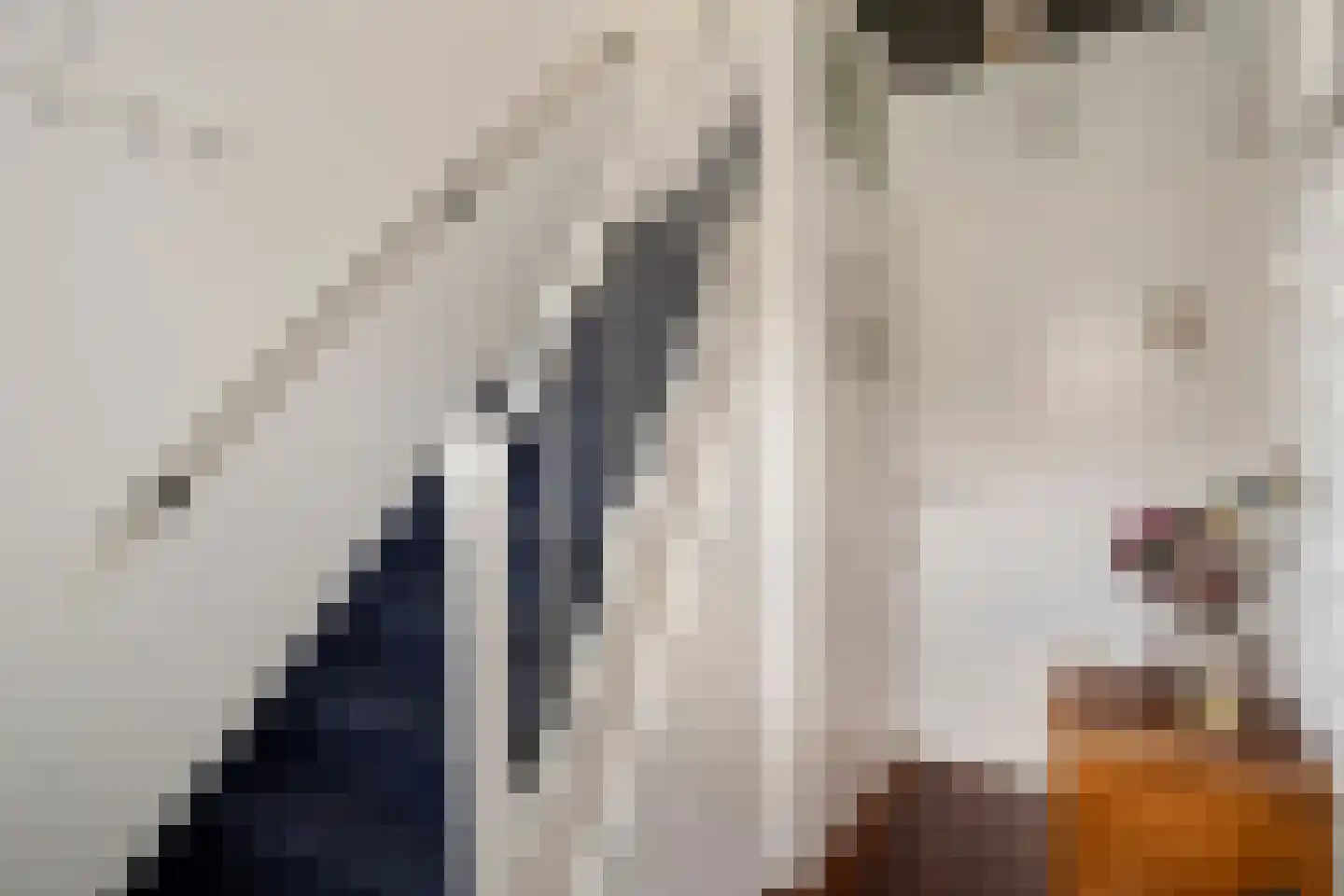 Tulpstraat 10 Uden thumbnail 6