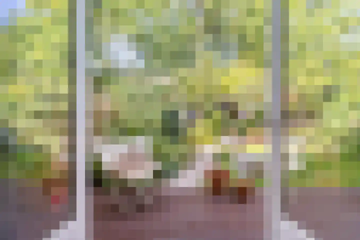 Tulpstraat 103 Rijswijk thumbnail 15