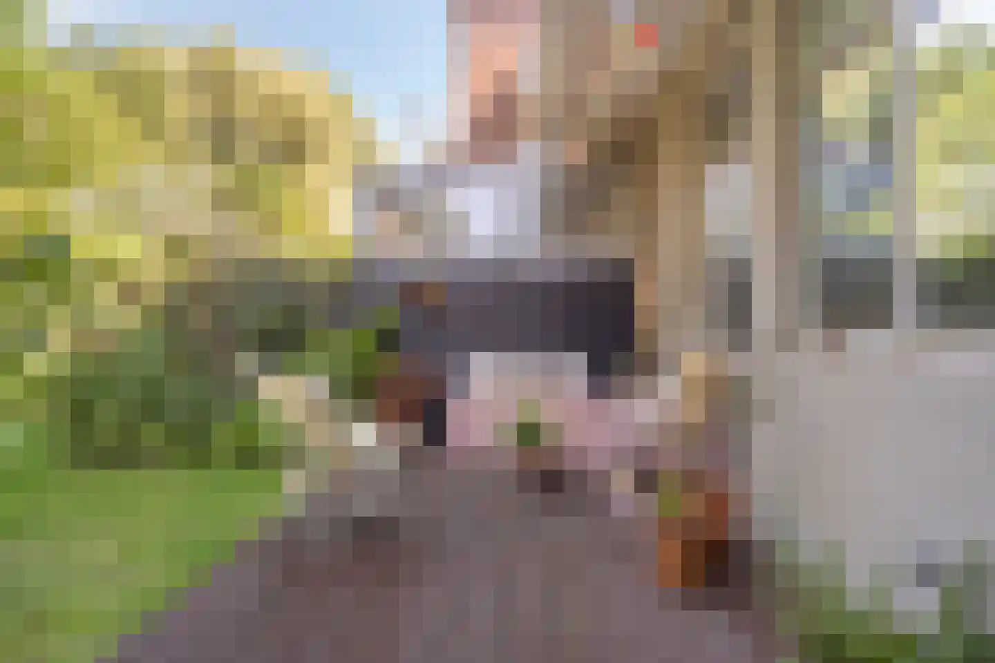 Tulpstraat 103 Rijswijk thumbnail 16