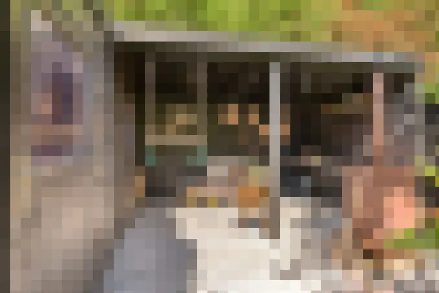 Tulpstraat 103 Rijswijk thumbnail 18