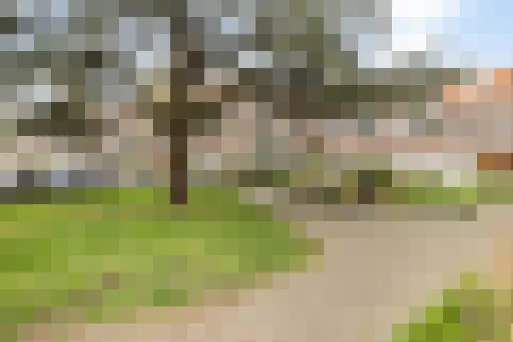 Tulpstraat 103 Rijswijk thumbnail 30