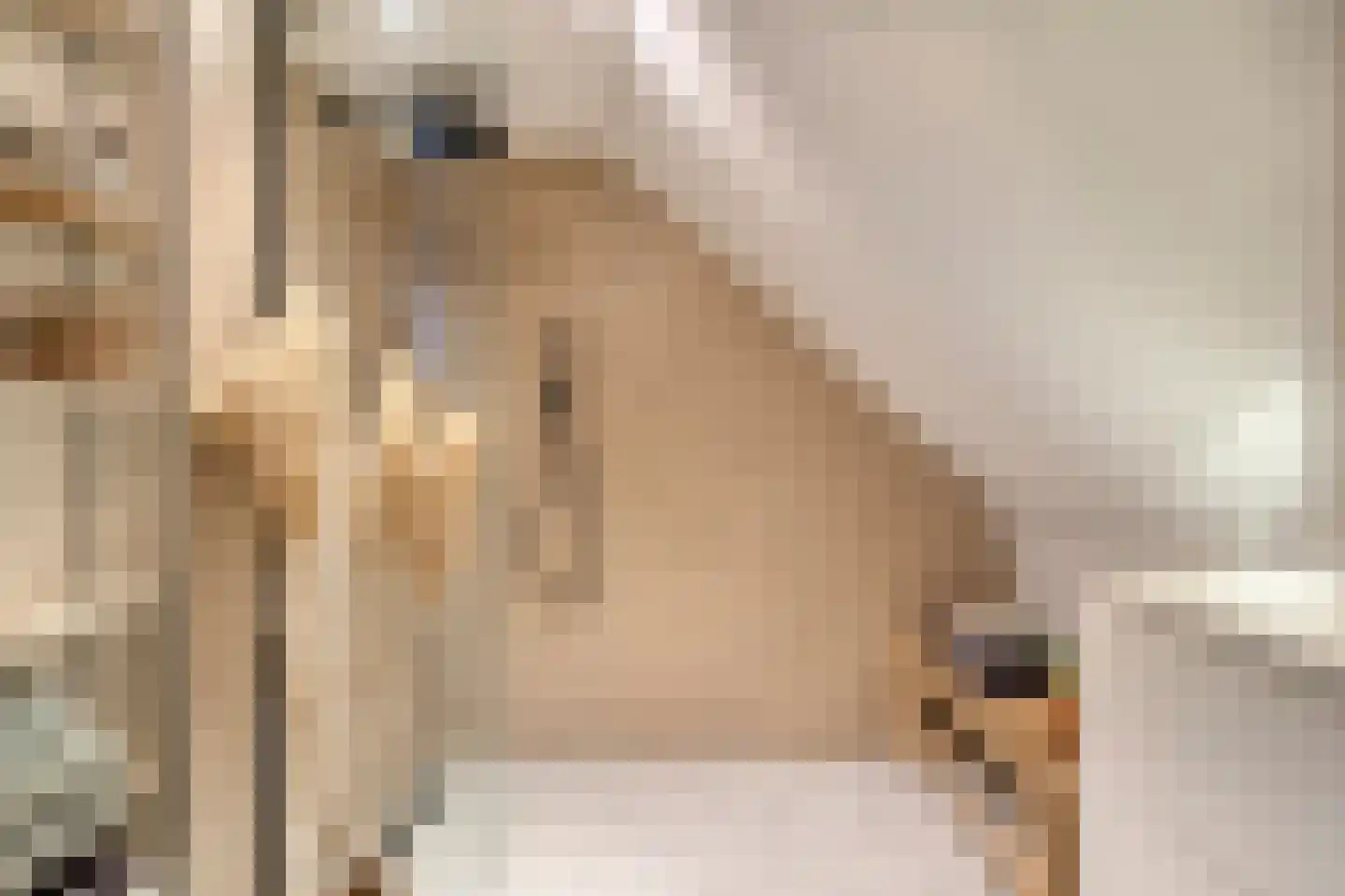 Tulpstraat 103 Rijswijk thumbnail 5