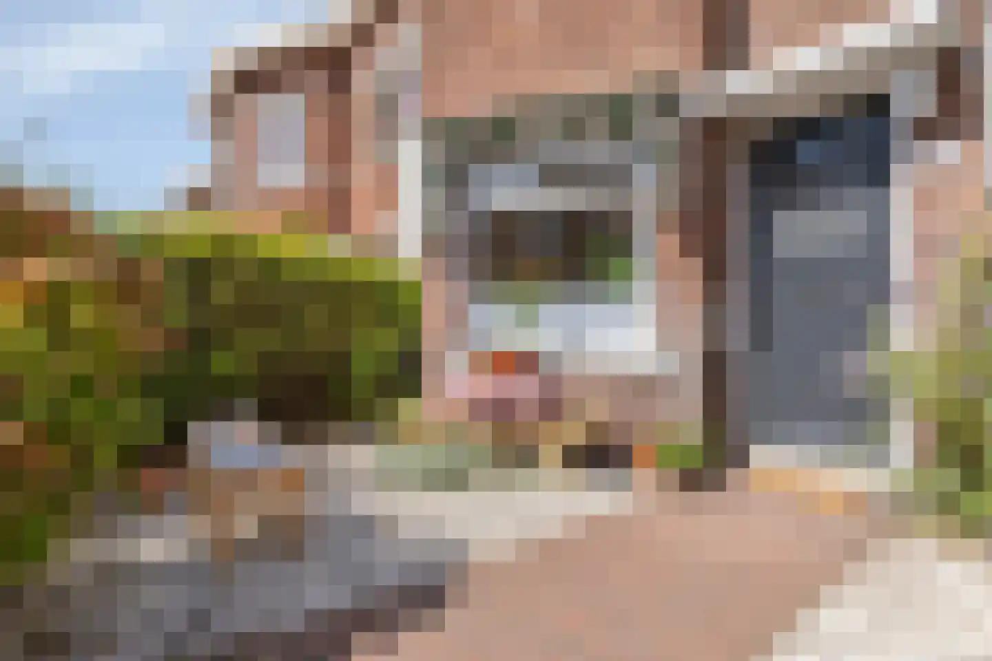 Tulpstraat 103 Rijswijk thumbnail 7