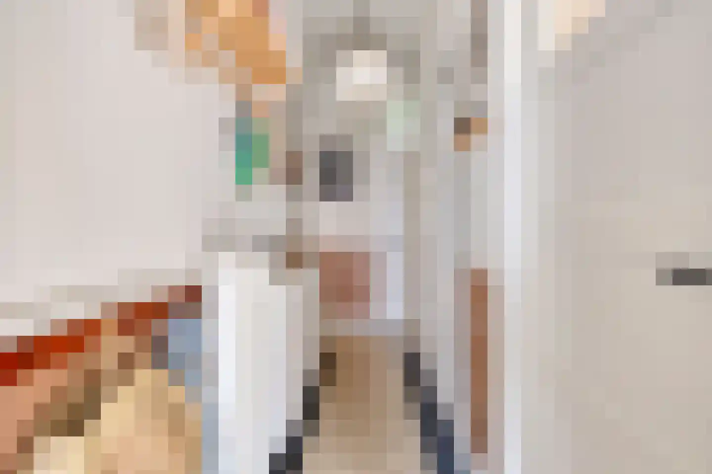 Tulpstraat 103 Rijswijk thumbnail 8