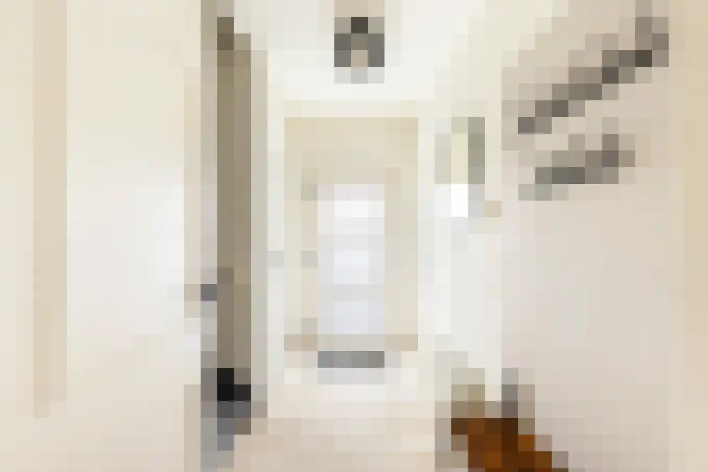 Tulpstraat 105 St. Willebrord thumbnail 10