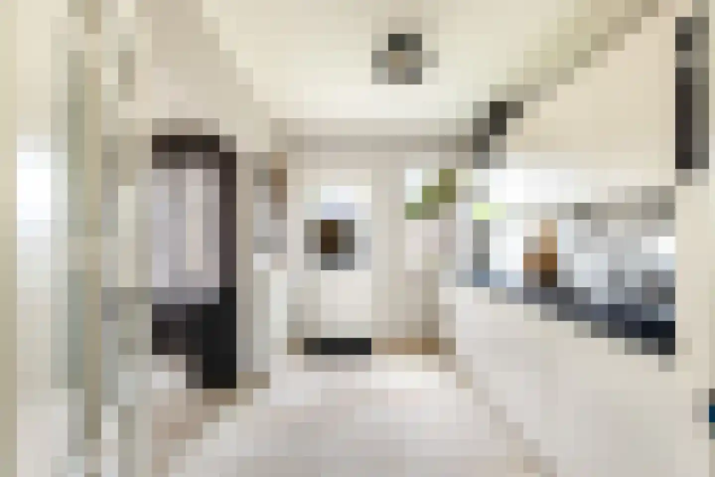 Tulpstraat 105 St. Willebrord thumbnail 12