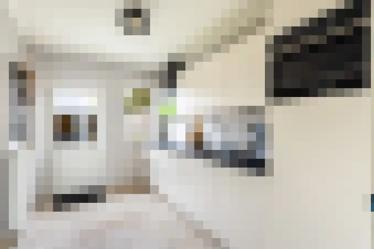 Tulpstraat 105 St. Willebrord thumbnail 13