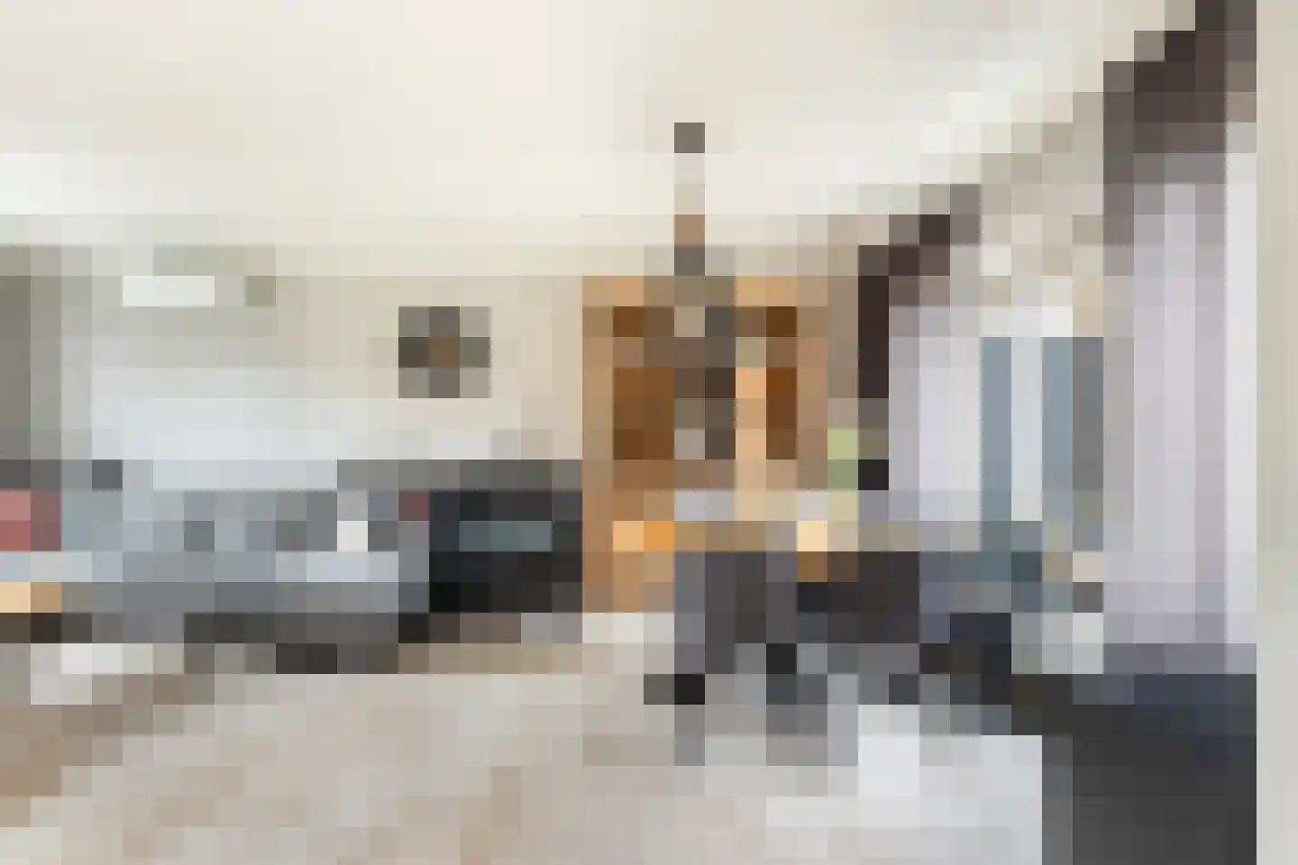 Tulpstraat 105 St. Willebrord thumbnail 18