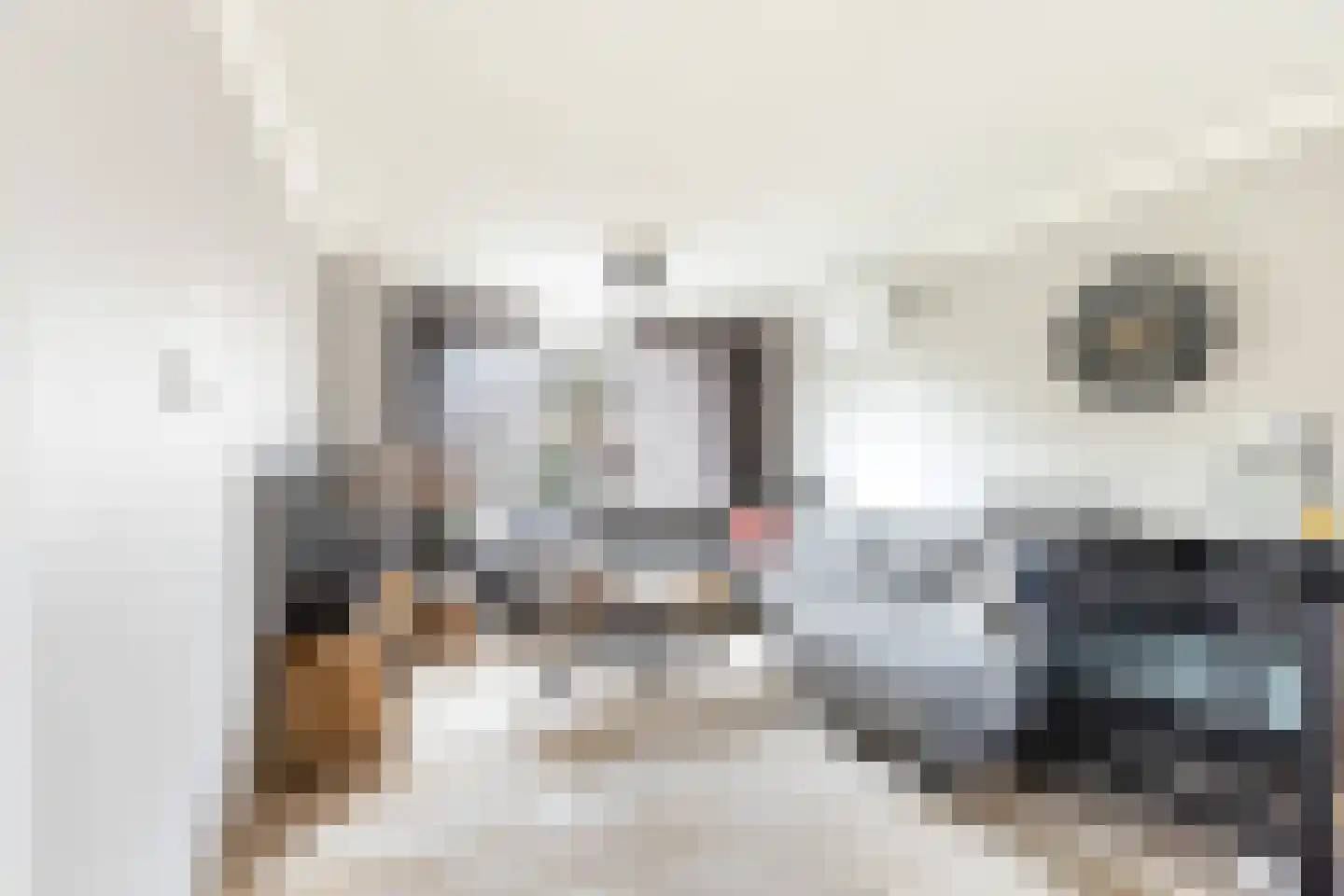 Tulpstraat 105 St. Willebrord thumbnail 19