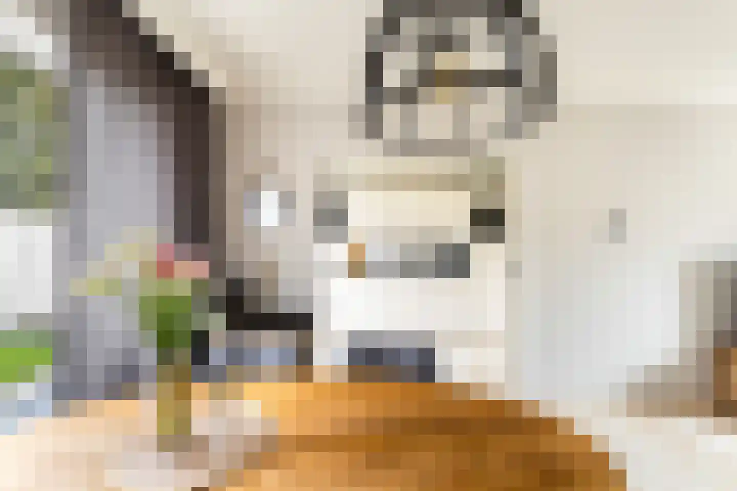 Tulpstraat 105 St. Willebrord thumbnail 23