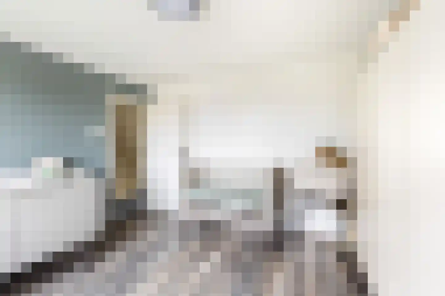 Tulpstraat 105 St. Willebrord thumbnail 37