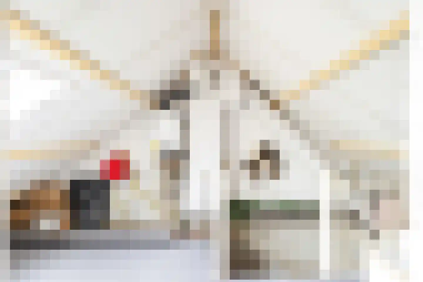 Tulpstraat 105 St. Willebrord thumbnail 45