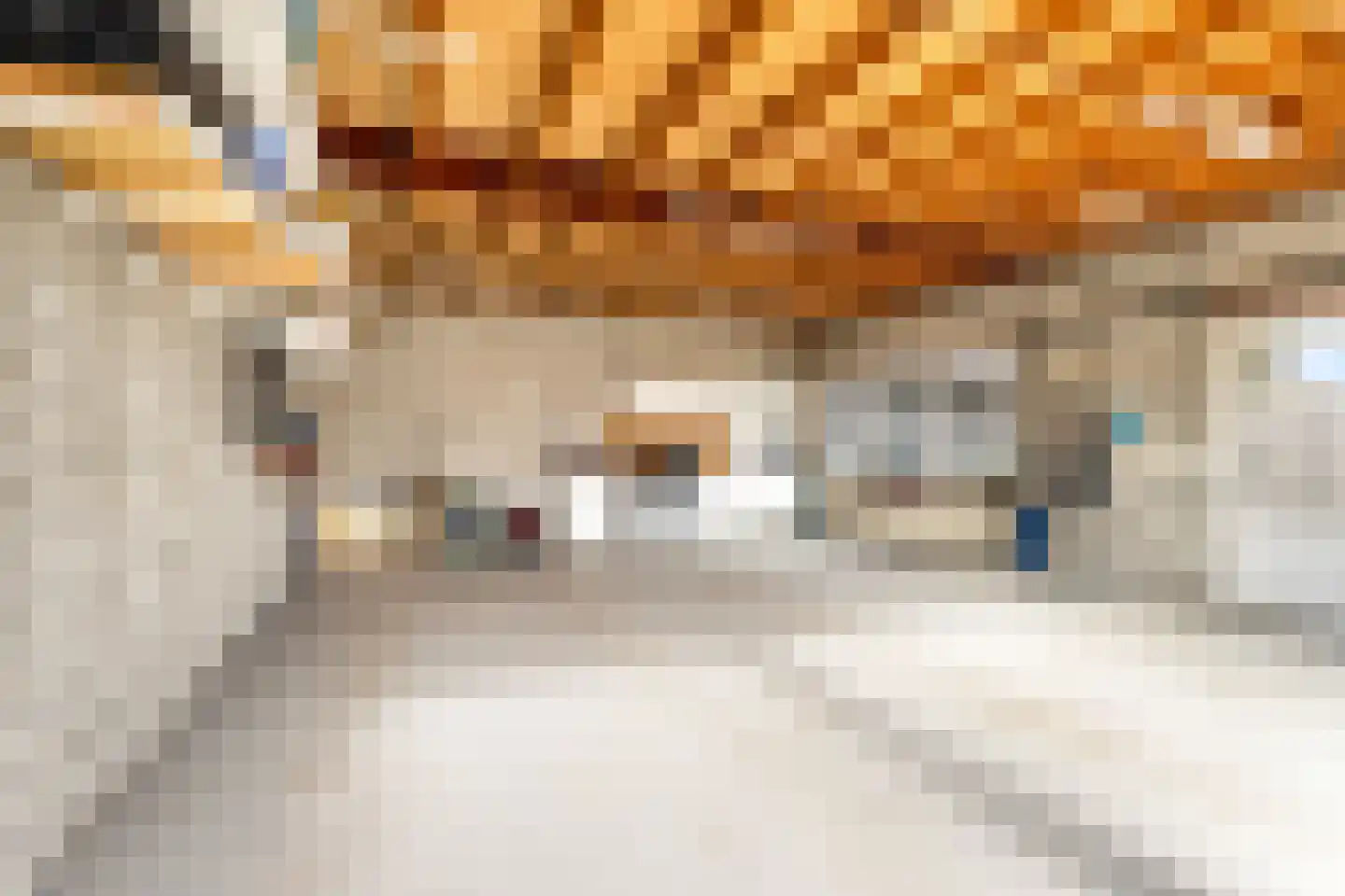 Tulpstraat 105 St. Willebrord thumbnail 49