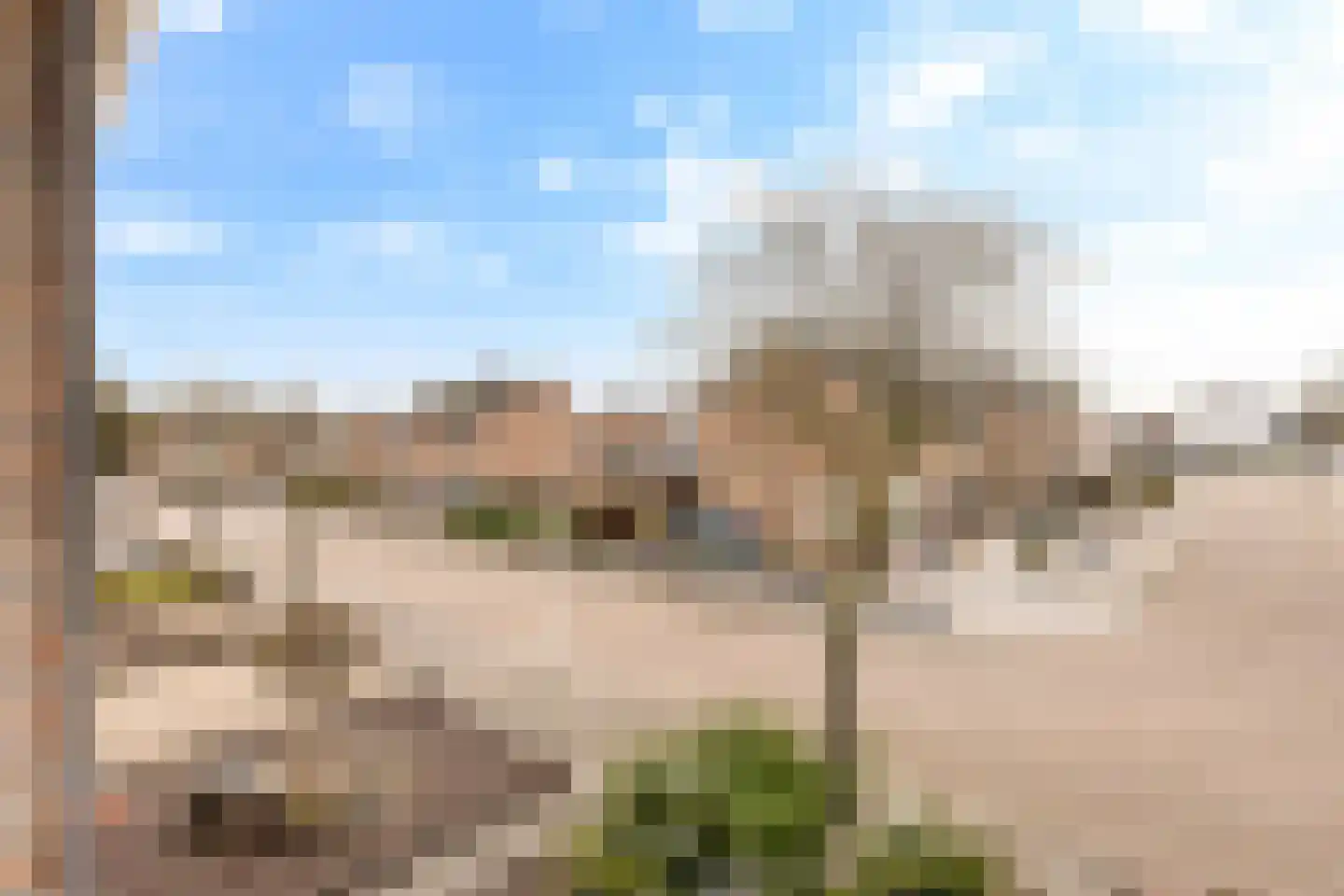 Tulpstraat 105 St. Willebrord thumbnail 62