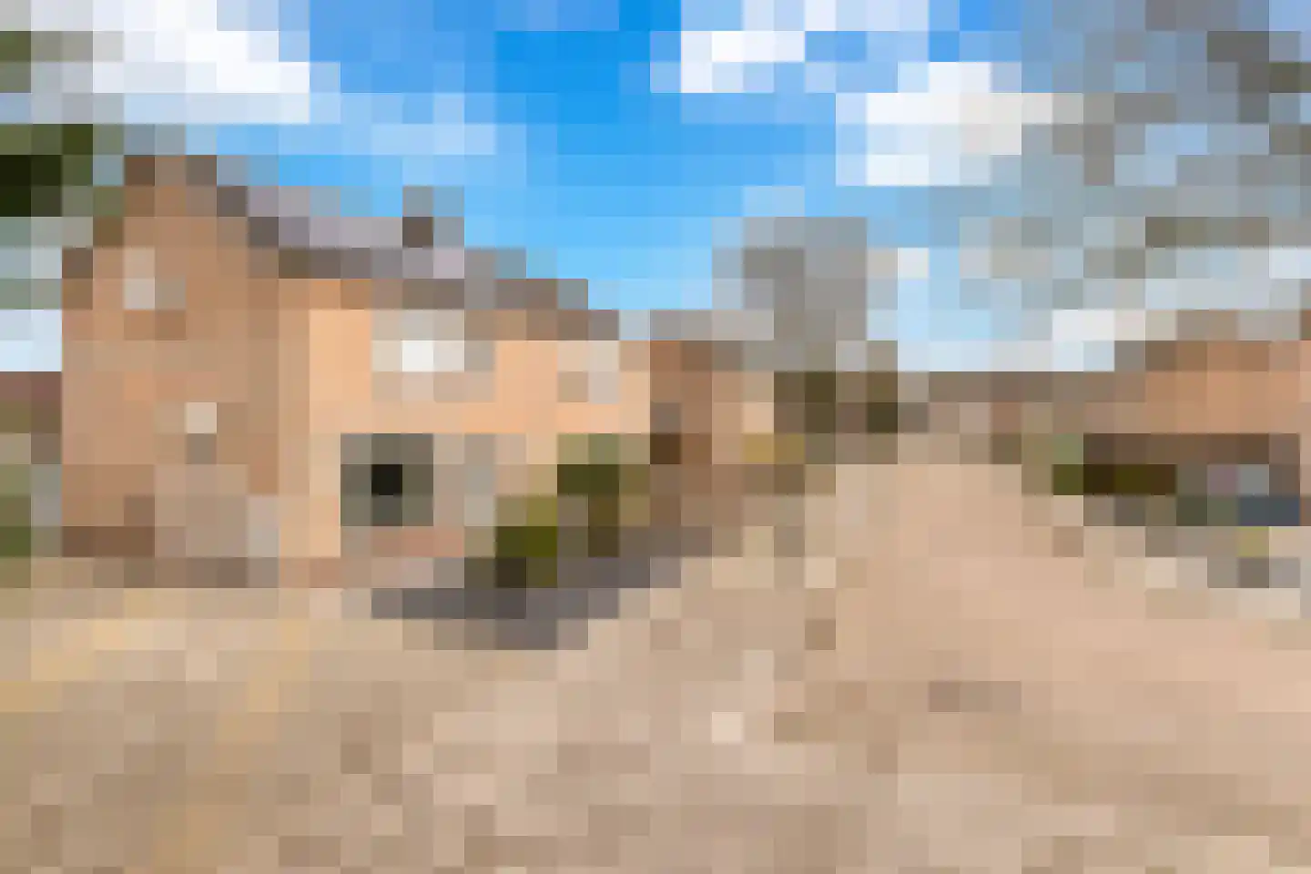 Tulpstraat 105 St. Willebrord thumbnail 63