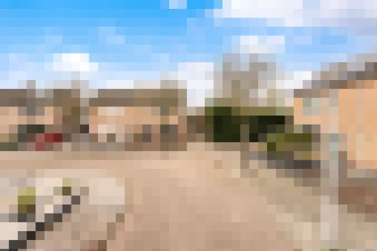 Tulpstraat 105 St. Willebrord thumbnail 64