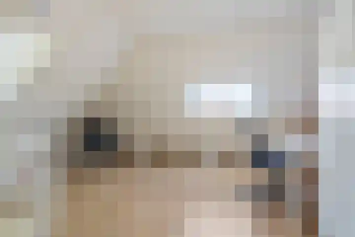 Tulpstraat 108 Tilburg thumbnail 33