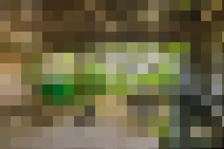 Tulpstraat 11 Hattem thumbnail 32