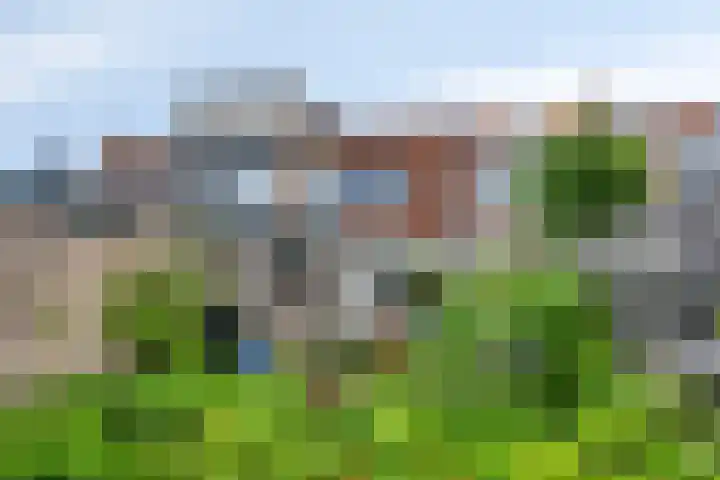 Tulpstraat 11 Hattem thumbnail 33