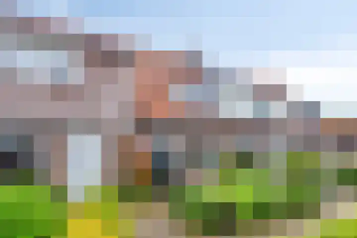 Tulpstraat 11 Hattem thumbnail 37