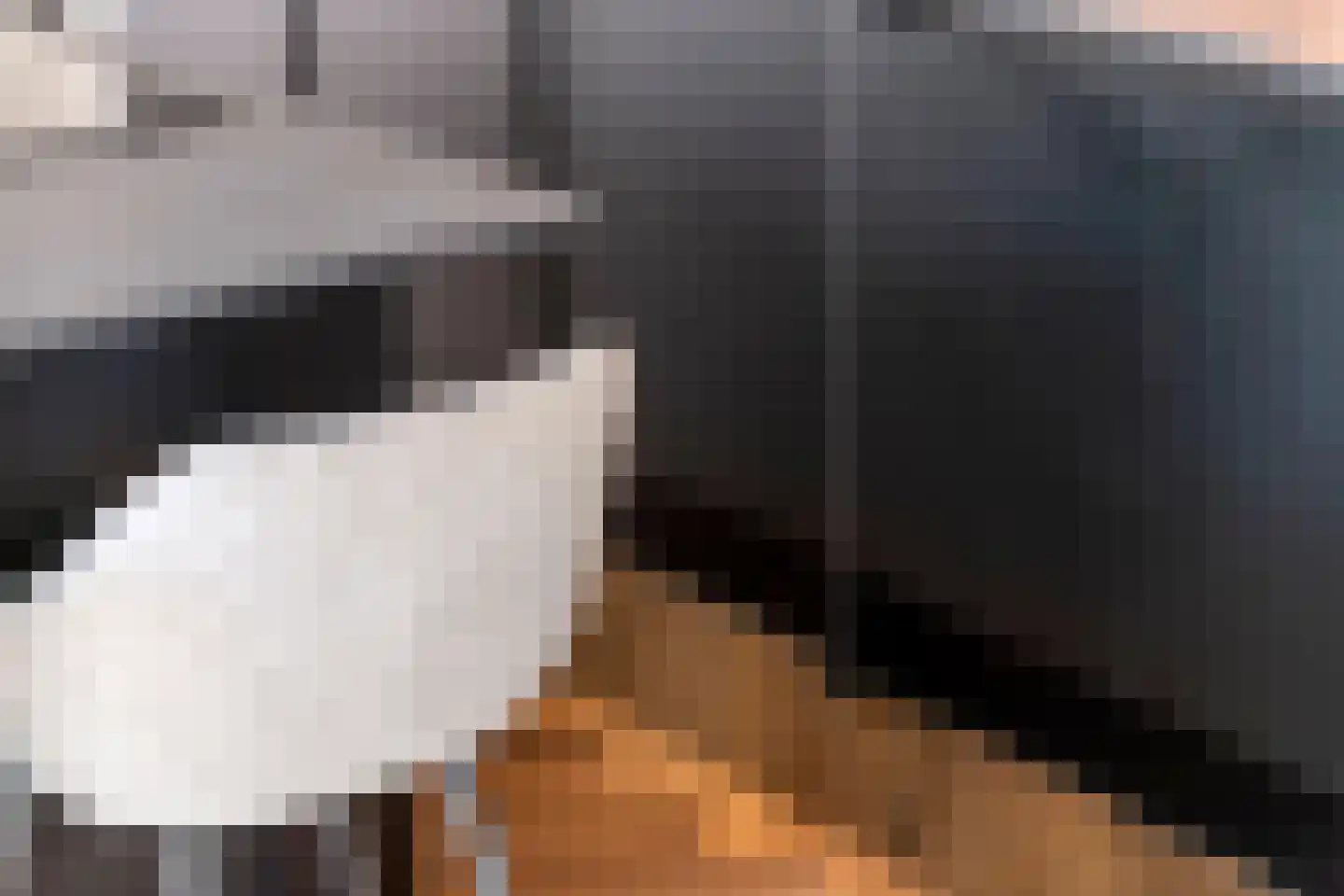 Tulpstraat 11 Tiel thumbnail 17