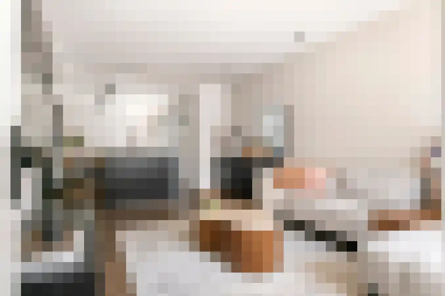 Tulpstraat 11 Tiel thumbnail 20