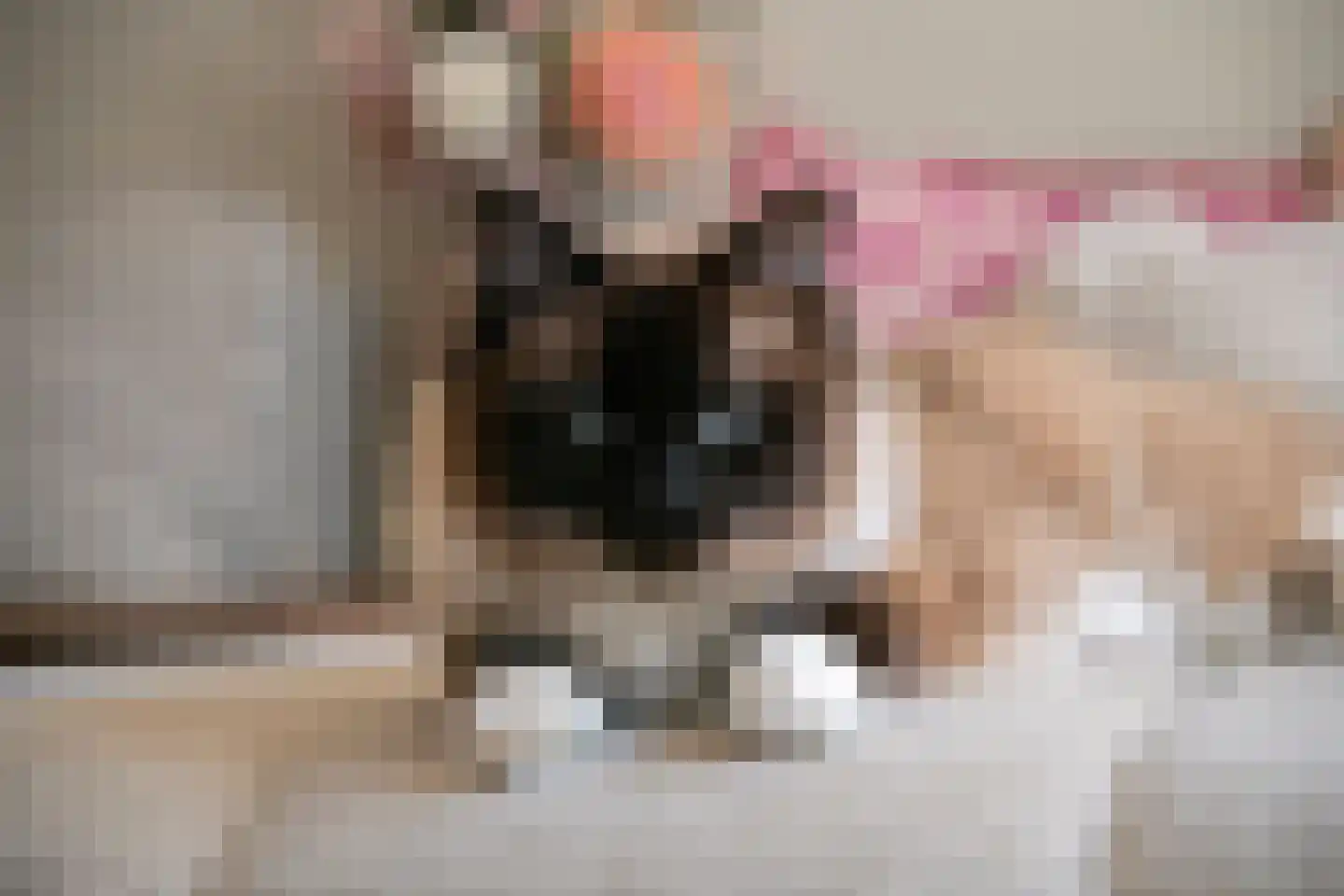 Tulpstraat 11 Tiel thumbnail 23