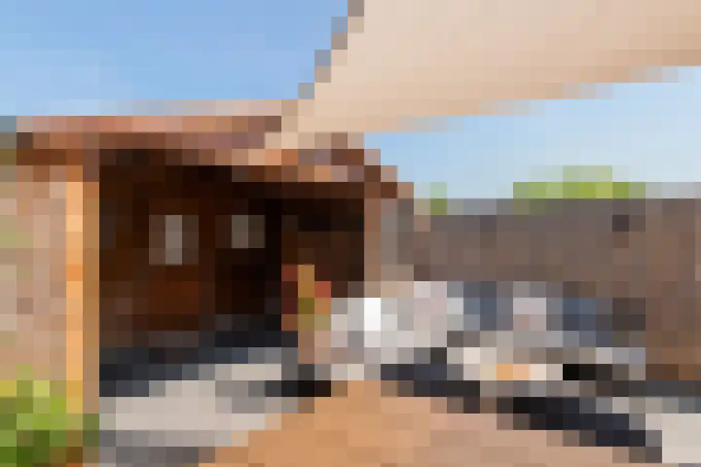 Tulpstraat 11 Tiel thumbnail 30