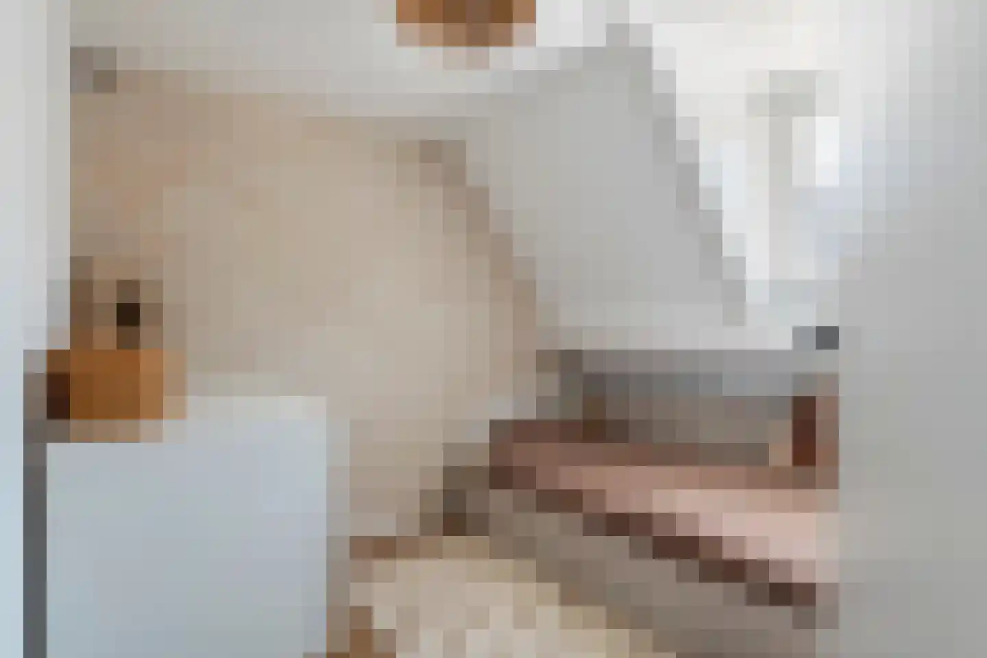 Tulpstraat 11 Tiel thumbnail 38