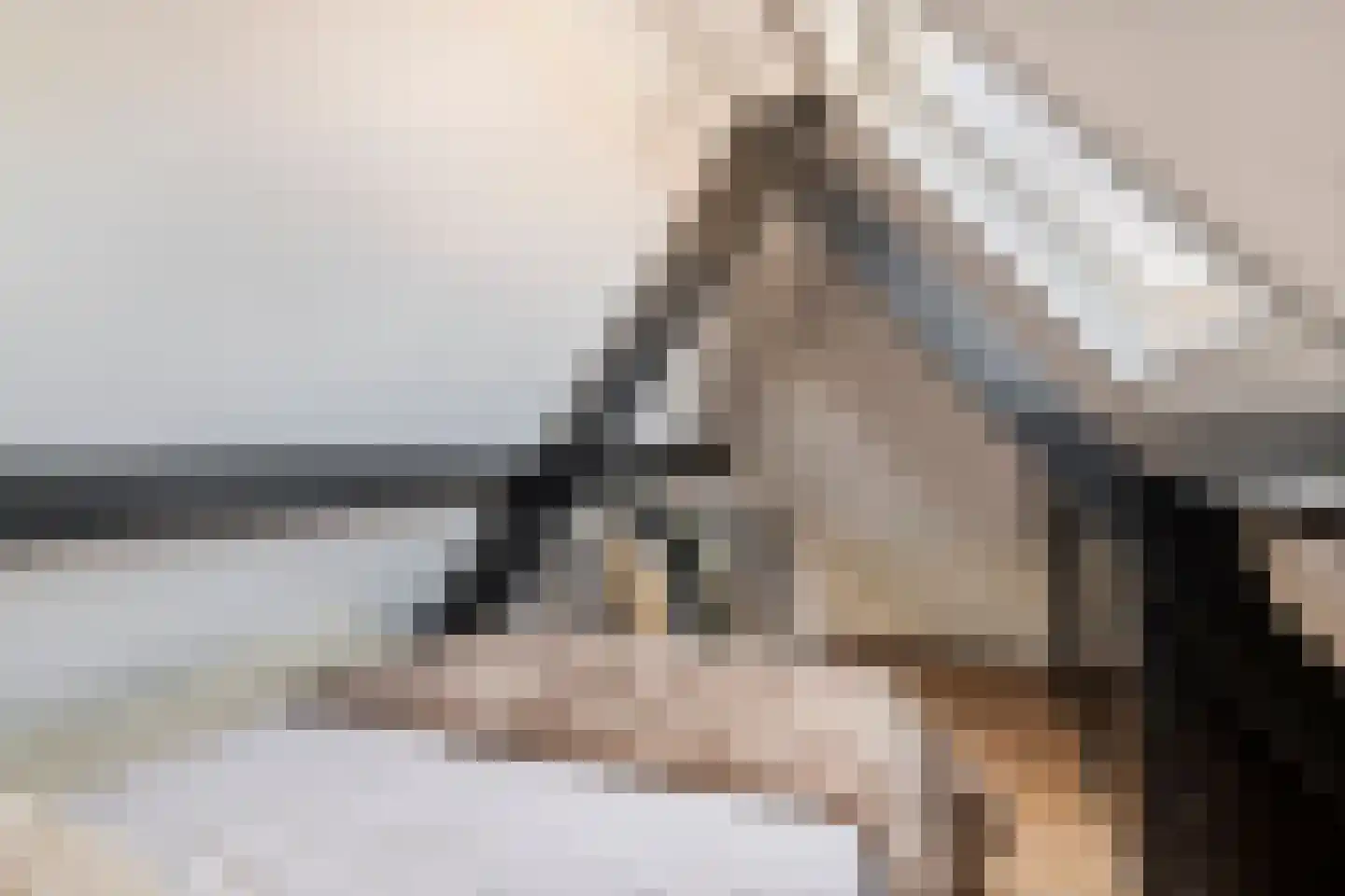 Tulpstraat 11 Tiel thumbnail 49