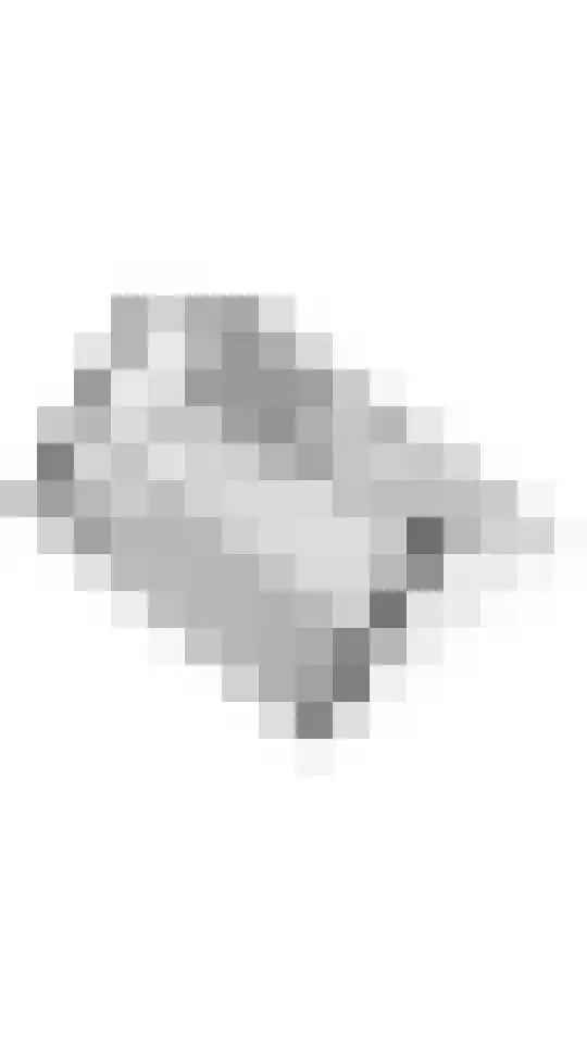 Tulpstraat 11 Tiel thumbnail 58
