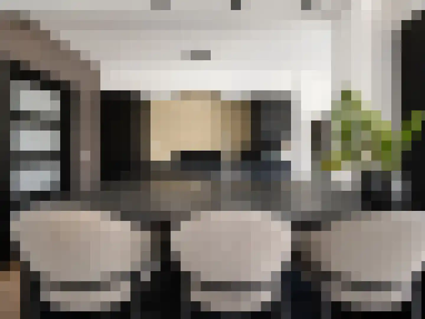 Tulpstraat 111 St. Willebrord thumbnail 13