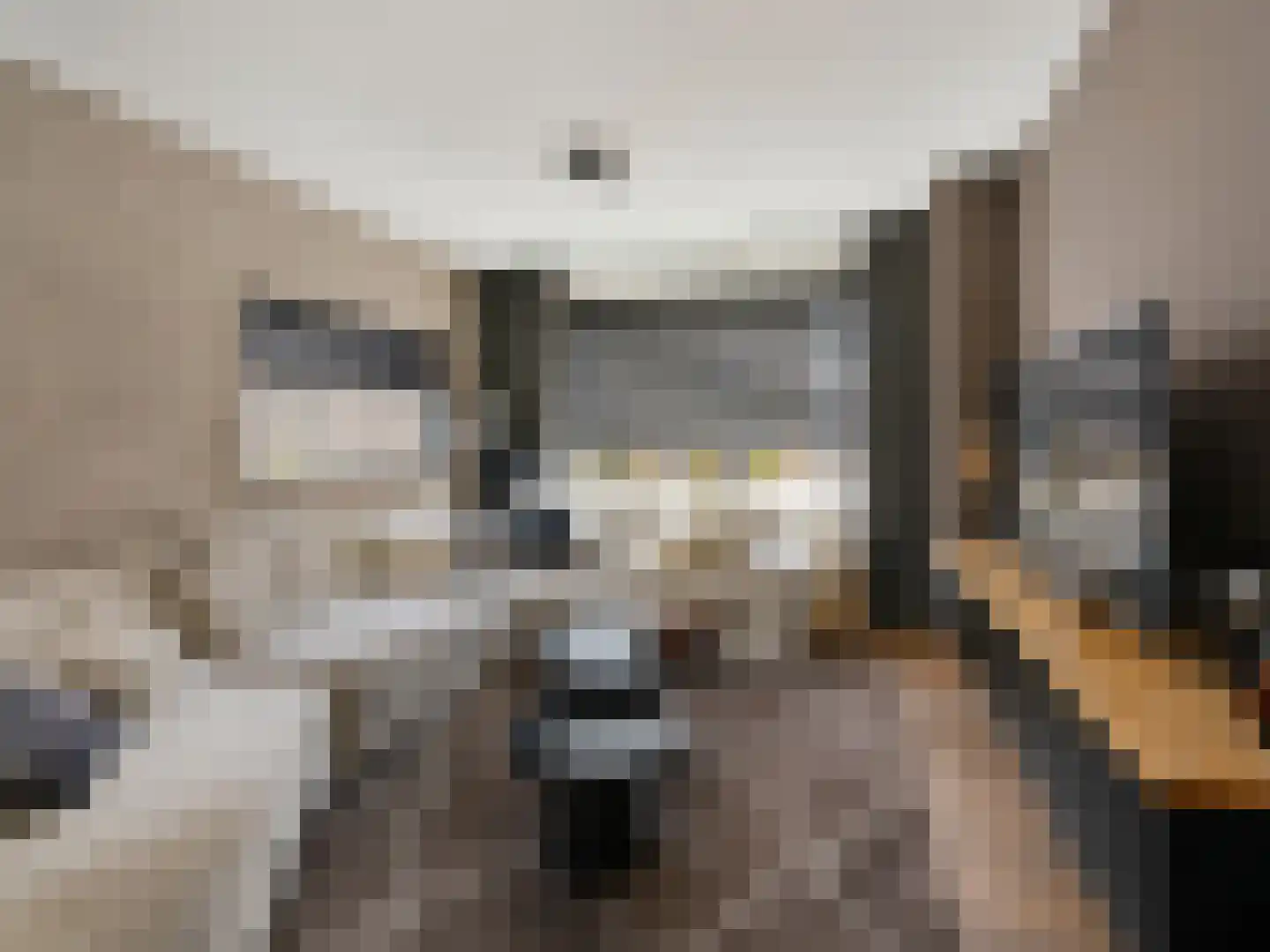 Tulpstraat 111 St. Willebrord thumbnail 6