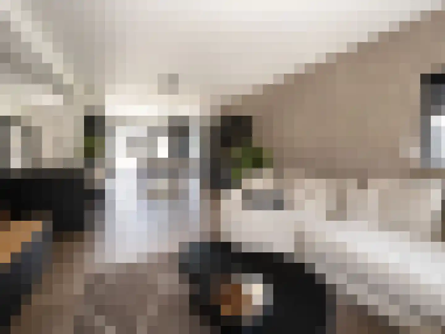 Tulpstraat 111 St. Willebrord thumbnail 7