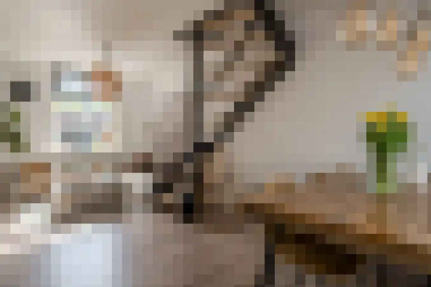 Tulpstraat 12 Nijmegen thumbnail 11