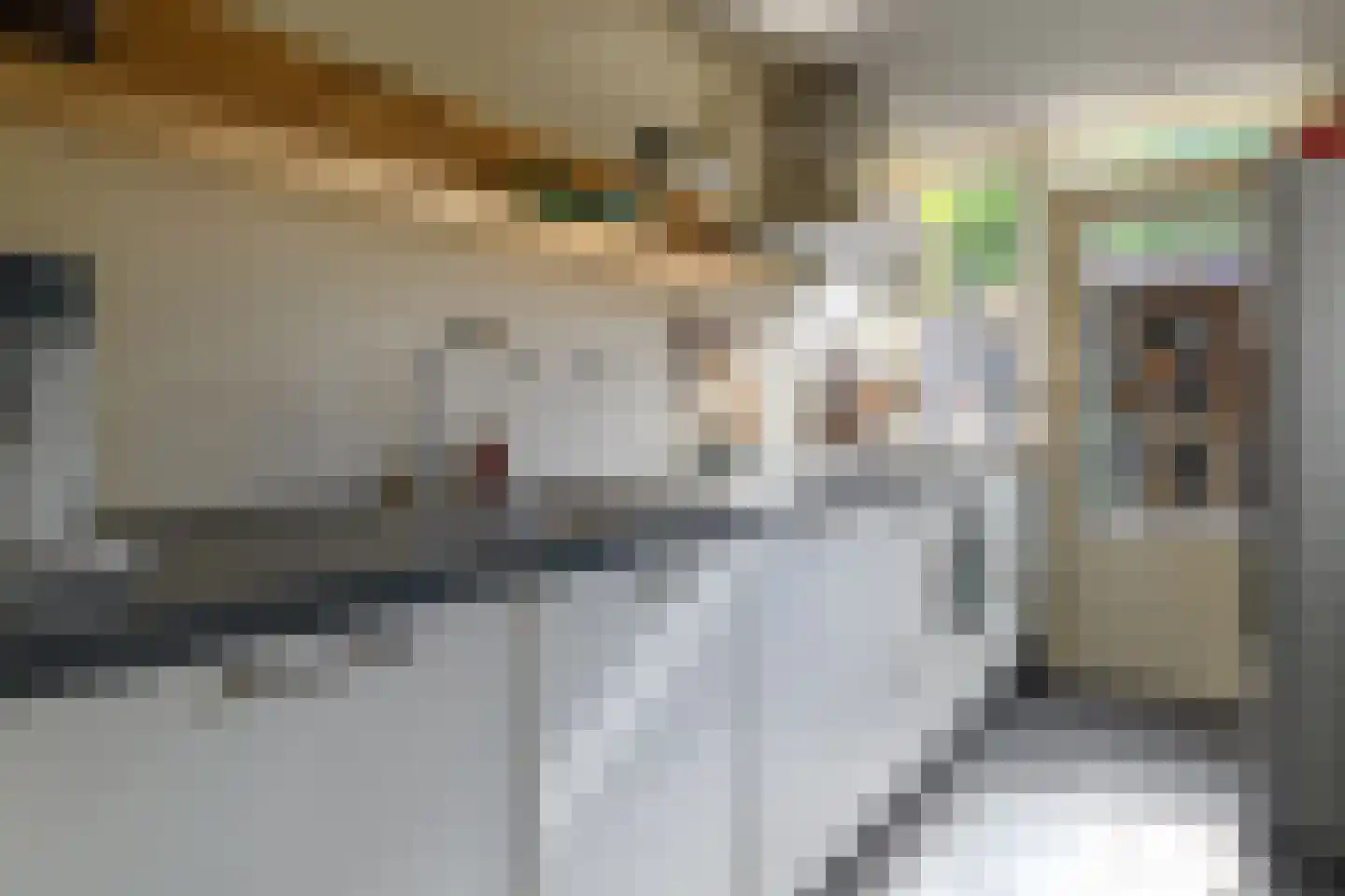 Tulpstraat 12 Nijmegen thumbnail 15