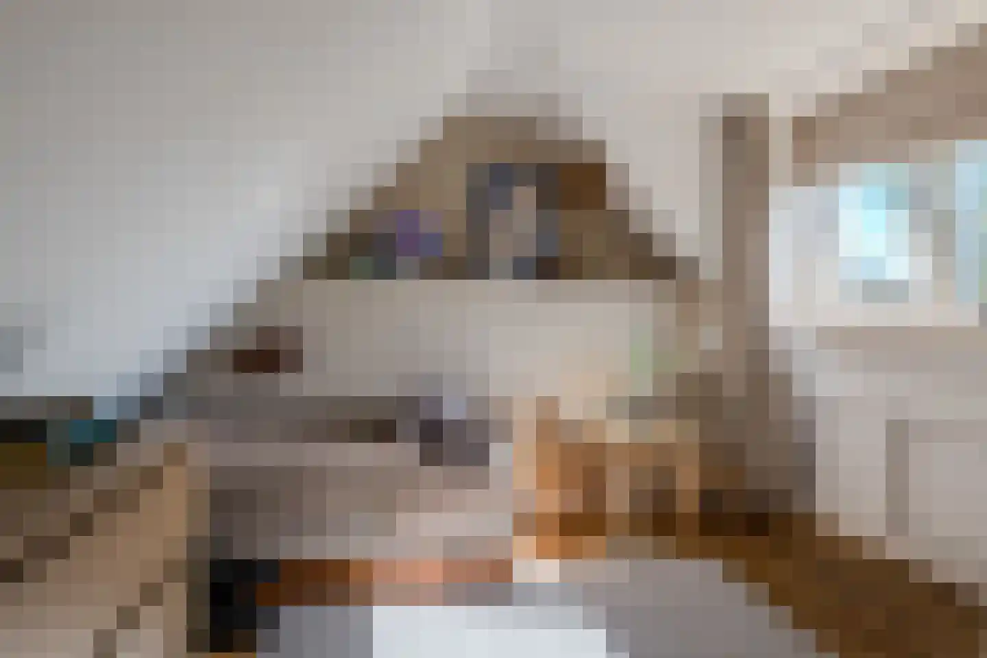 Tulpstraat 12 Nijmegen thumbnail 28