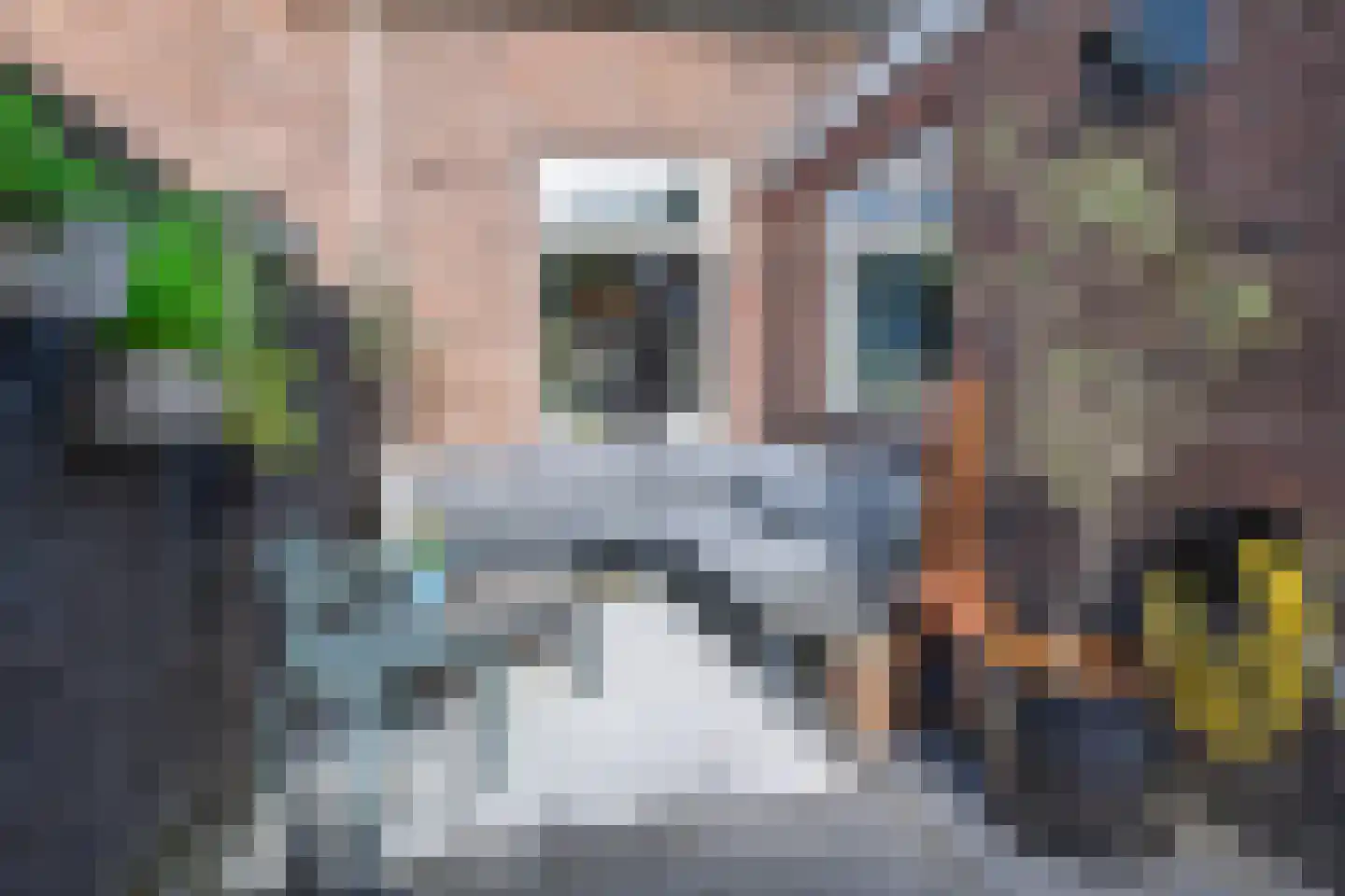 Tulpstraat 12 Nijmegen thumbnail 32