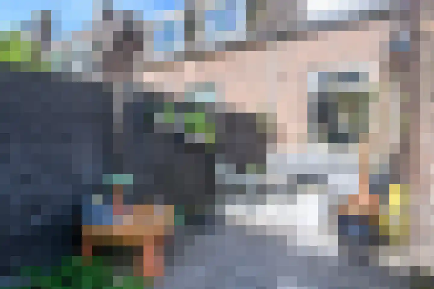Tulpstraat 12 Nijmegen thumbnail 33